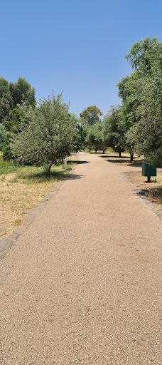 Majrase Nature Reserve-Emek HaYarden