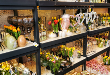 Garden centers Pötschke GmbH & Co. KG购物图片