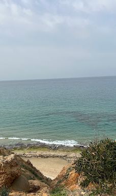 Sharon Reserve-Hof HaSharon