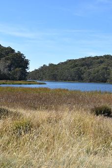The Horn Picnic Area-芒特巴弗法洛