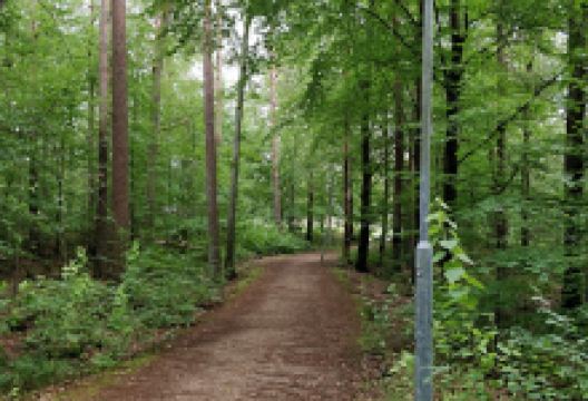 Uggleskogen景点图片