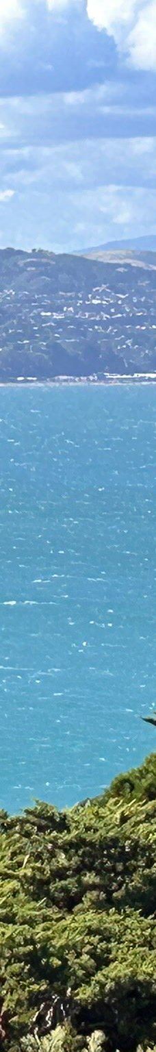 维多利亚山-惠灵顿