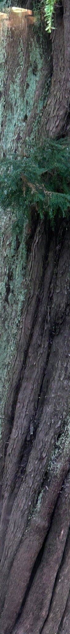 Skipton Castle-斯基普顿