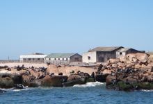 Ilha dos Lobos景点图片