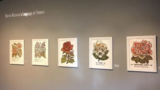 Flatbed Galleries