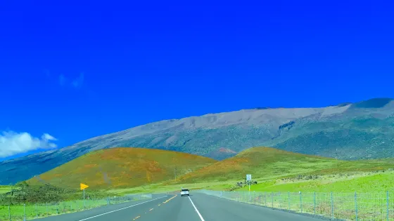 馬鞍道