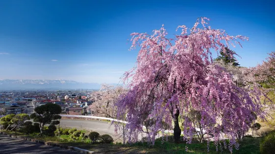 Sosho Park
