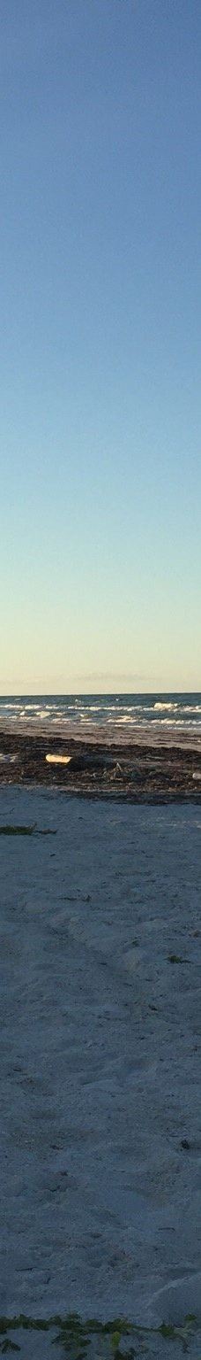 El Cuyo Beaches-埃尔库约