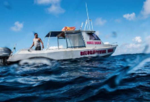 Beluga Diving Vava'u购物图片