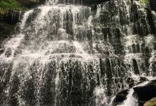 Short Springs Natural Area景点图片