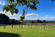 Flame Hill Vineyard景点图片