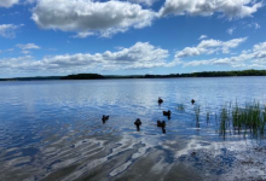 Mira River Provincial Park景点图片