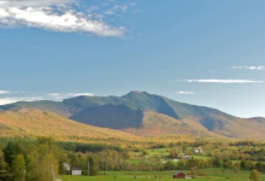 Valley Dream Farm景点图片