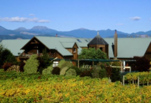 Seifried Estate Cellar Door景点图片