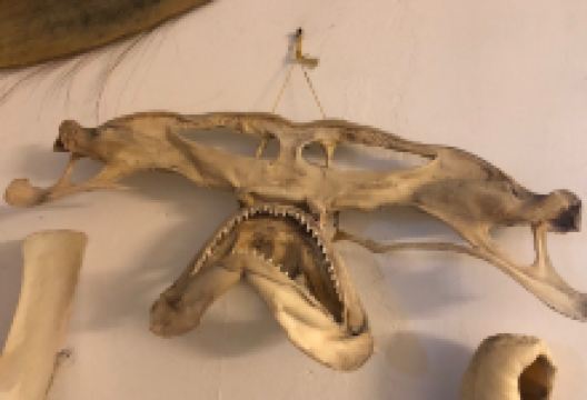 Marine Biology Station Laboe景点图片