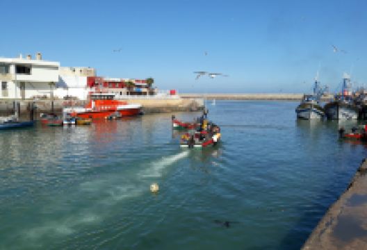 Le Port d'El Jadida景点图片