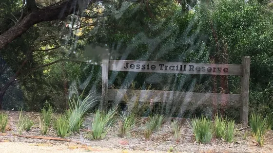Jessie Traill Nature Reserve