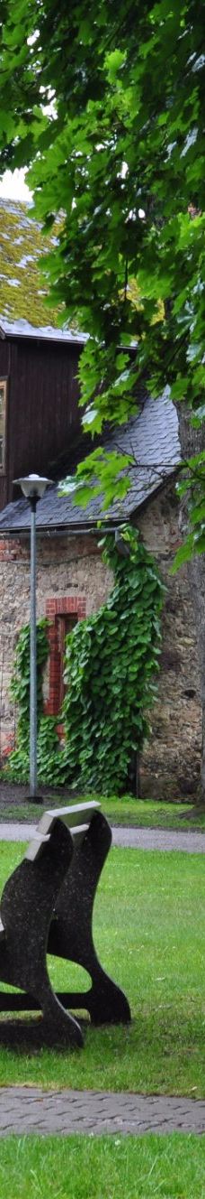 Andrejs Pumpurs Lielvardes muzejs-Lielvardes pilseta