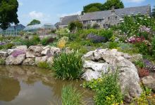 Hollies Farm Plant Centre景点图片