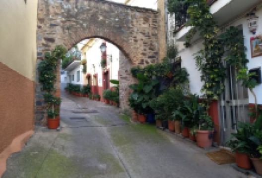 Arco del Tinte en Guadalupe景点图片