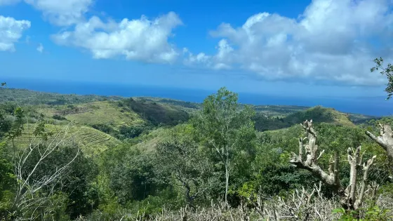天線寶寶山