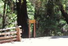 Sempervirens Falls景点图片