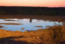 Okaukuejo Lake景点图片