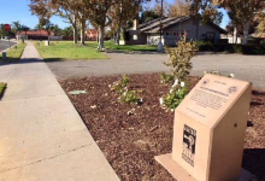 Lazy Creek Recreational Center景点图片