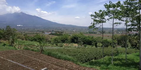 Kampung Sapi Adventure