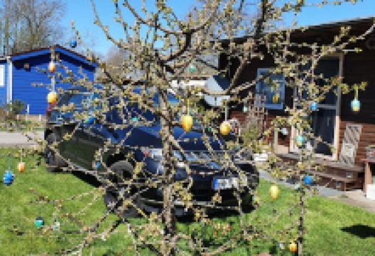 Campingplatz景点图片