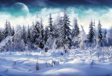 Kulig 》 Kuligi Murzasichle, Poronin. Murzasichle kulig景点图片