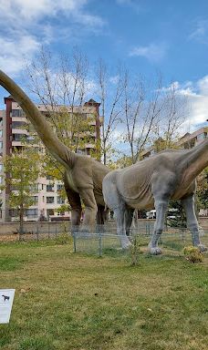 MTA Genel Müdürlüğü Şehit Cuma Dağ Tabiat Tarihi Müzesi-安卡拉