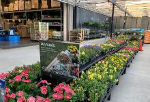 Walmart Garden Center购物图片