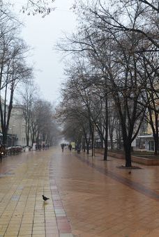 Saint Kiril and Metodiy-多布里奇