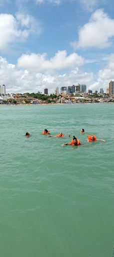 Jangalancha Show-纳塔尔