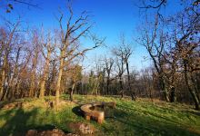 Rote Bank景点图片