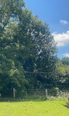 郎利特野生动物园-沃明斯特