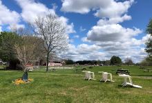 Maybury Farm景点图片