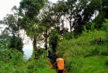 Gn.Cikuray Via Lebak Giri景点图片