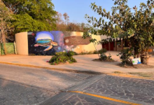 Centro Mexicano de la Tortuga景点图片