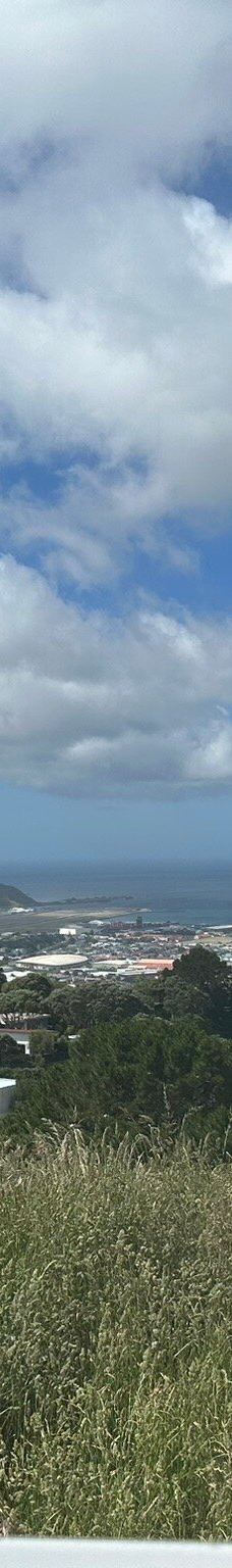 维多利亚山-惠灵顿