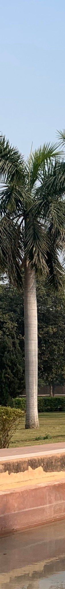 萨夫达尔疆陵墓-新德里