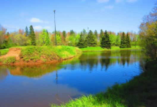 世纪公园景点图片