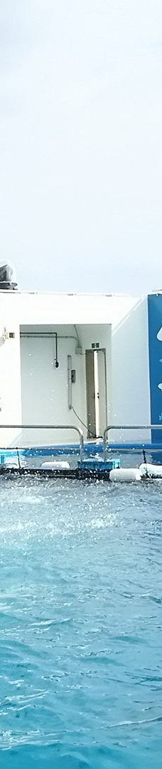 仙台海洋森林水族馆-仙台