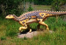 Park Dinozaurow景点图片