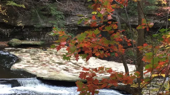 Tinkers Creek Viaduct Park