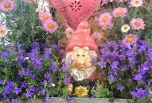 Omearas Garden Centre景点图片