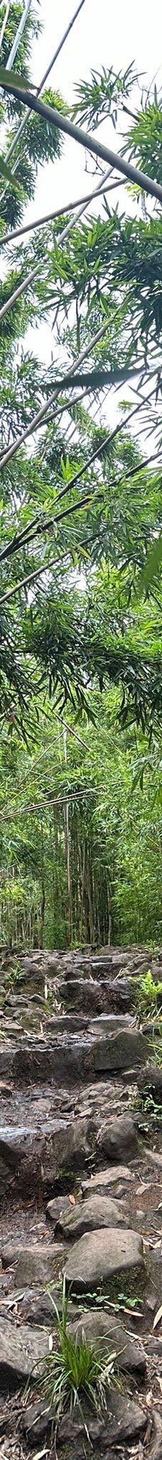 皮皮崴小径-茂宜县