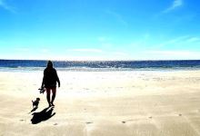 Playa Bonita Beach景点图片