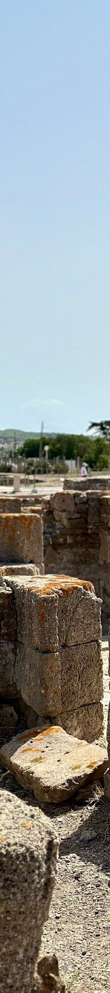 巴埃洛克劳狄亚-塔里法